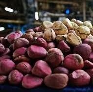 Kola Nuts – West Africa Origin (Ghana, Côte d’Ivoire) - Image 1
