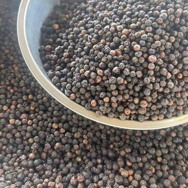 Black Pepper Wholesaler of 500G/L 550G/L 5MM 600G/L FAQ Machine Clean & White Pepper Grade 1 Single Spices & Herbs – product photo 1, product detail gallery
