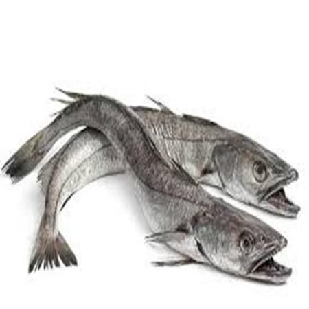 Fresh Hake Seafood Choice Packed Under Strict Quality Control With Bright Appearance And Firm Meat Structure - Image 5