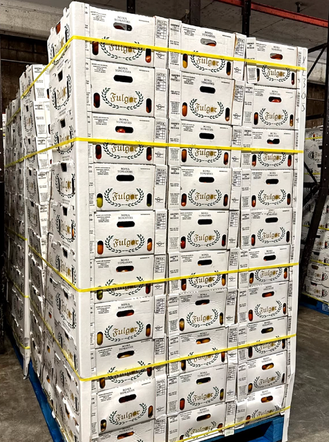 Premium Roma Tomatoes, Consistent Quality, Reliable Supply Plum Tomatoes 20kg Export Carton On Sale - Image 3