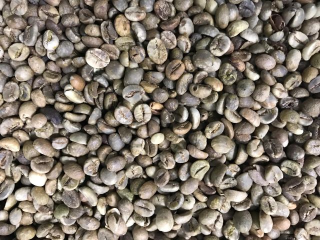 Premium Robusta Green Coffee - Origin From Vietnam - Anvan Dried Food - Image 2