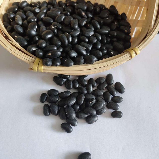 High Protein Black Bean Bulk Export Quality Black Bean For Food Manufacturing And Large Scale Processing Industry Buyers - Image 2