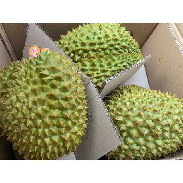 Wholesale Fresh Durian 100% High Quality Fresh Delicious Vietnam Durian and Feeeze Durian - Image 1