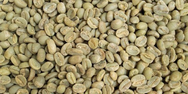 Robusta Coffee Beans Bulk Wholesale Consistent Supply | Top Quality Robusta Coffee - Image 5