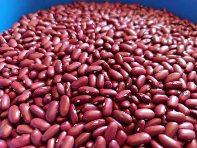 Red Speckled Kidney Beans - Image 4