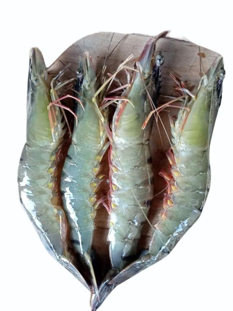 Chicken Paws - Image 1