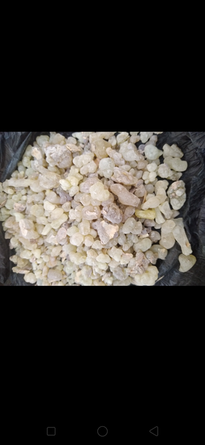 Frankincense - Image 3