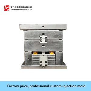 Plastic Injection Mould/Injection Moulding for Fan T0 30days Cycle Time 46s Standard PUNCH Model NO. 24013 Installation - Image 6
