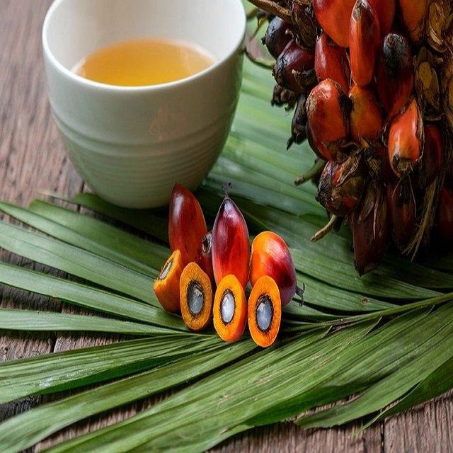 100% Pure & Natural Food Grade Refined Palm Oil Fractionated Cooking Oil Wholesale Bulk Purchase Manufacturer - Image 4