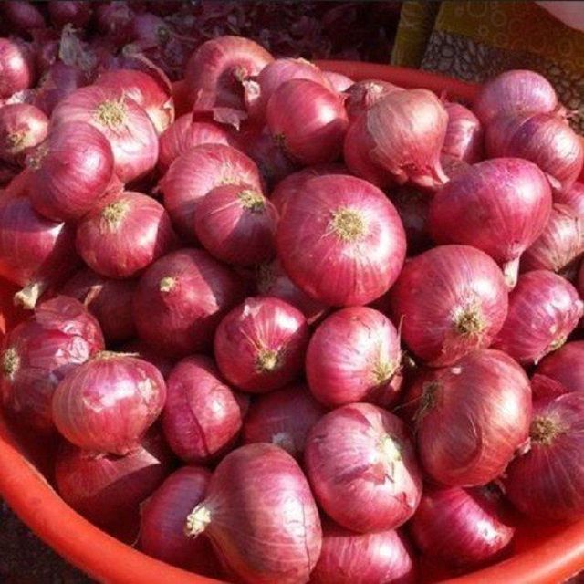 Natural Delicious Food Grade Widely Selling Fresh Red Onion for Bulk Purchase - Image 4