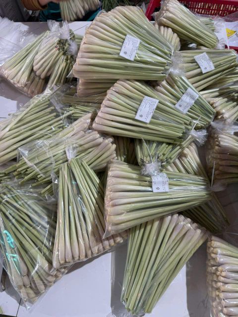 Fresh lemon grass from Vietnam Grade A Port Ho Chi MInh Type fresh lemon grass Place of Origin Viet Nam Certification ISO, VIETGAP - Image 2