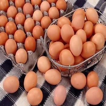 Fresh Chicken Brown Table Eggs - Image 4