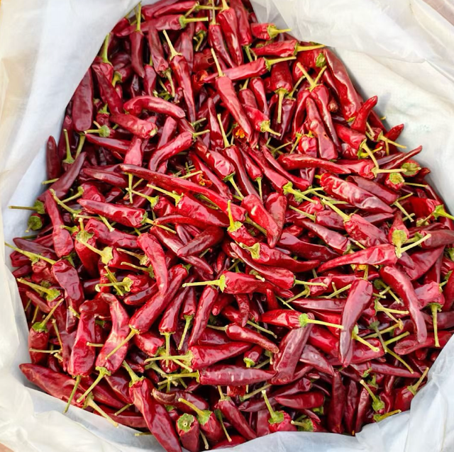 Best Quality Red Chilli Peppers –Bold Colour, Fresh Heat 20kg Reliable Quality Chilli for Global Markets - Image 1