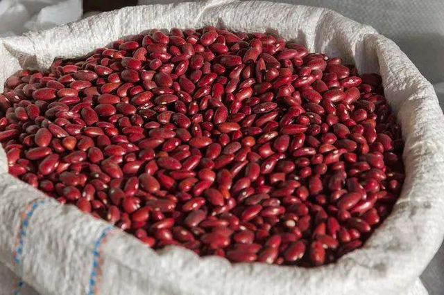 Wholesale Ethiopian High Quality Cream Beans Fresh Kidney Red and White Beans Common Cultivation Type - Image 3