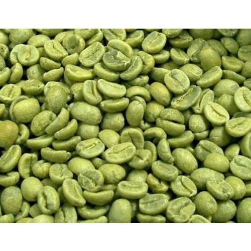 Green Coffee Beans Arabica and Robusta Coffee Beans - Image 4