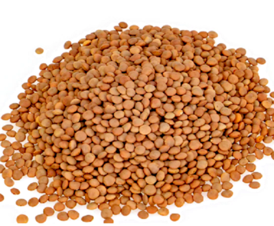 Red Lentils at Wholesale Price Red Lentils, Green Lentils, Brown Lentils - Image 2