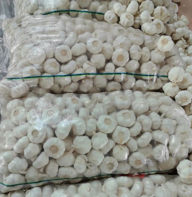 Fresh Garlic / Chinese White Garlic / Pure Natural Garlic for Export – High Quality Supplier from China - Image 2