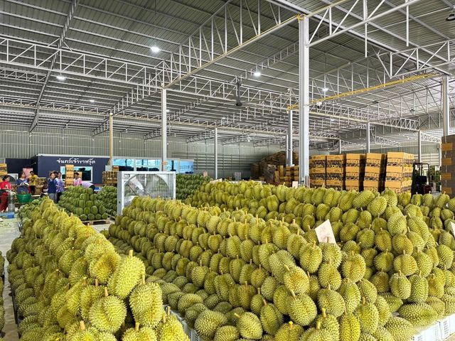 Durian – product photo 5, product detail gallery