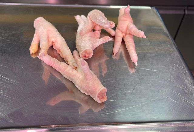 chicken feet/paws – product photo 3, product detail gallery