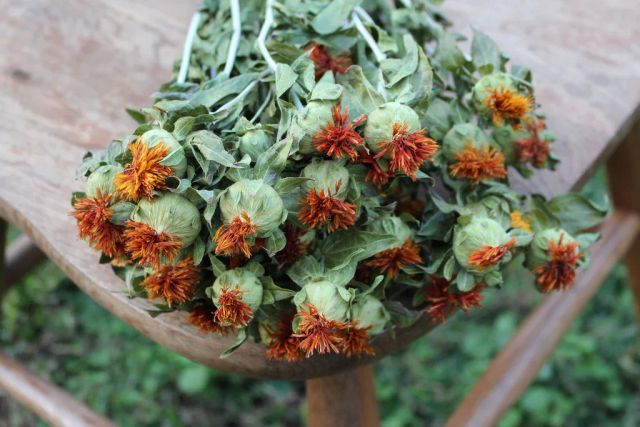 Safflower Petals, Carthamus tinctorius, 99.5% Pure, India - Image 4
