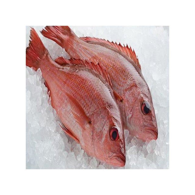 Frozen 150-350g size fresh high quality frozen red snapper sea bream fish whole round - Image 4