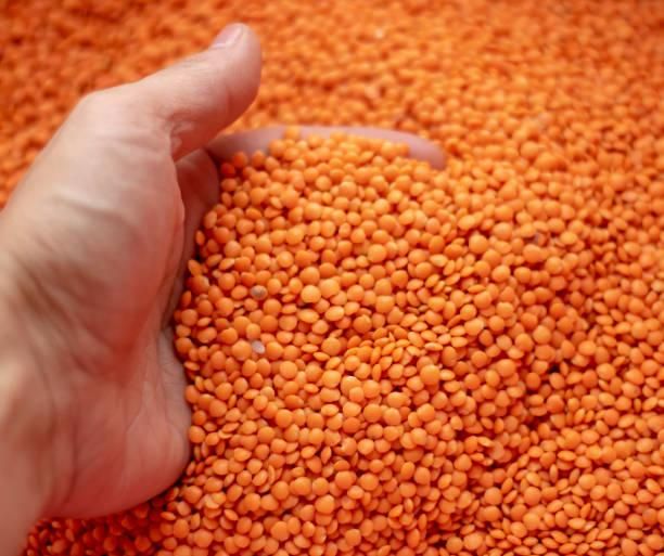 Premium Red Lentils (Whole & Split) – Food Grade, Export Quality | Bulk Supply - Image 4
