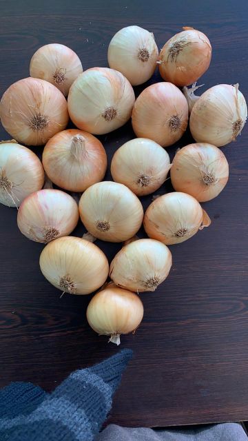 Onion Grade A Size 50:90 Type Red,Yellow Place of Origin Egypt Packaging 20Kg,25Kg,50Kg, jumbo - Image 4