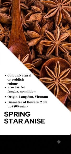 Sun-dried star anise with a breakage/fragmentation rate of 5–7% – product photo 4, product detail gallery