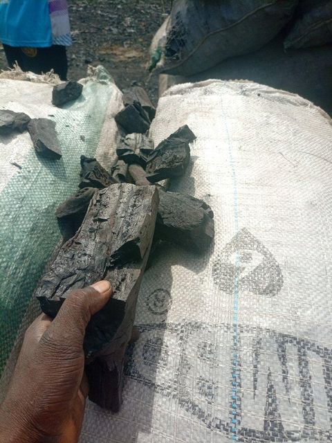 Hard and soft wood quality charcoal - Image 3
