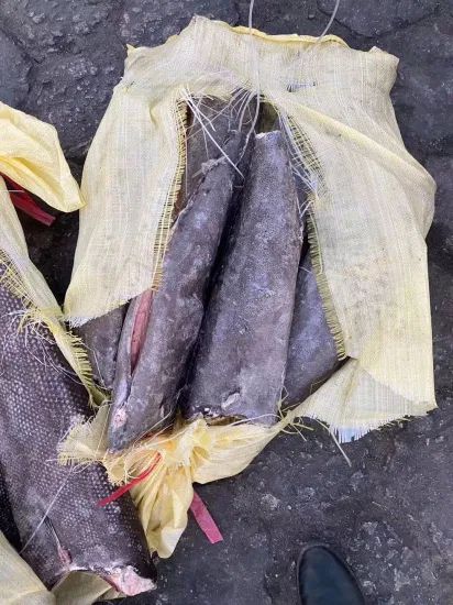 Oilfish Hgt Frozen Oil Fish Style Hgt MOQ 1*40FCL Model NO. fish Processing BQF Feature Nature HS Code 03034300 Trademark - Image 1