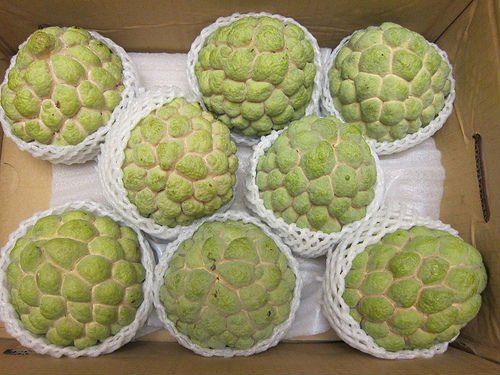 Fresh custard apple with high quality and good price , VIETGAP for export ready to shipping EU , US, ASIA Market - Image 3