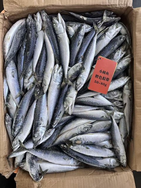Tilapia, Pacific Mackerel - Image 1