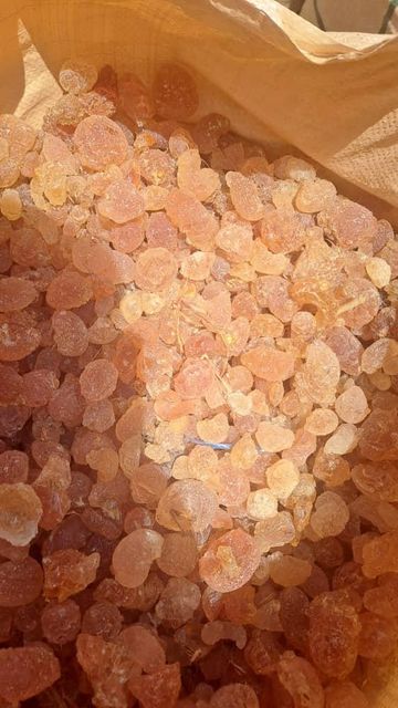 Gum Arabic ( Hashab, or Acacia Senegal available) - Image 3