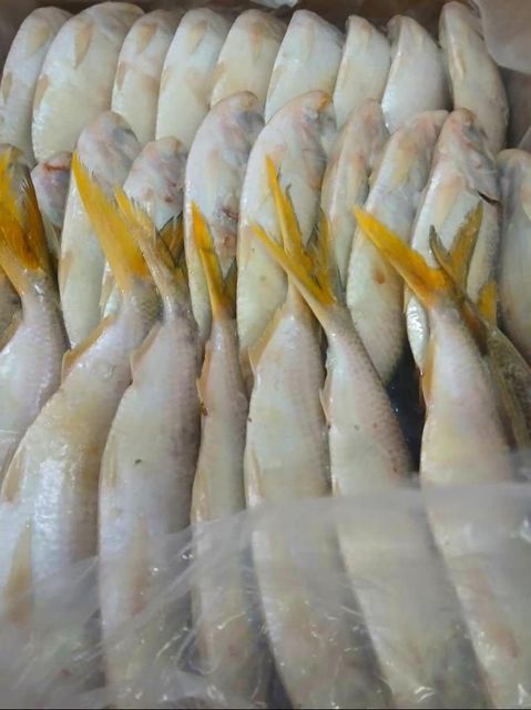 Frozen Round Sardinella Freshness Level Frozen Degree of Processing Unprocessed Features No Artificial Flavors, No Preservatives, Without Colourants - Image 1