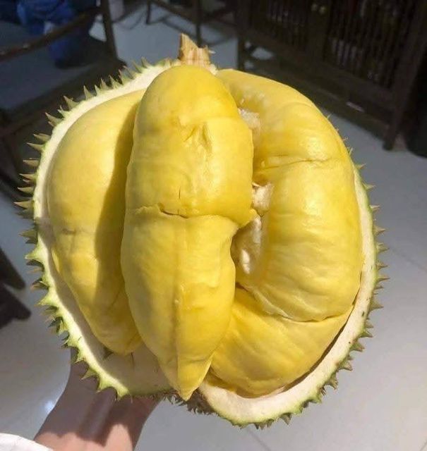 Frozen durian meat Grade A,AB,ABC Variety Monthong - Image 2