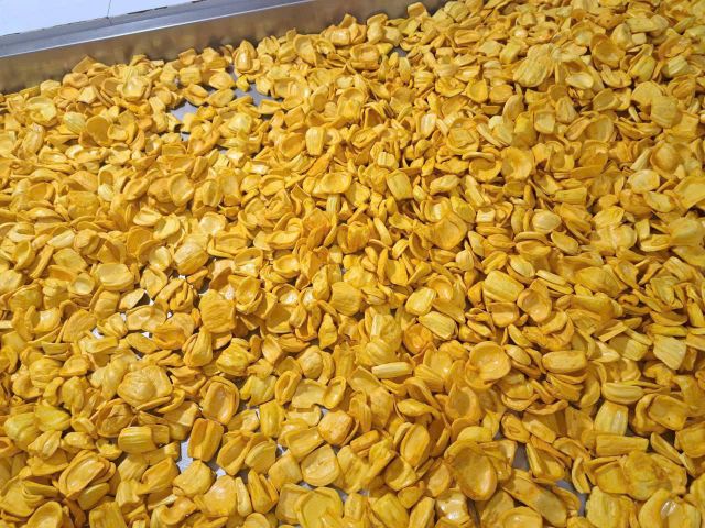 Crispy Dried Jackfruit Chips Bulk | Freeze Dried & Vacuum Fried Jackfruit Snack from Vietnam Supplier - Image 4
