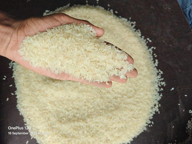 IR64 Parboiled Rice 5% Broken - Image 1