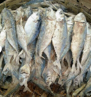 Red seabream fish. Quality Fresh Frozen Mackerel fish.Good Quality Frozen Horse Mackerel Fish.Mackerel Fish. Free delivery - Image 3