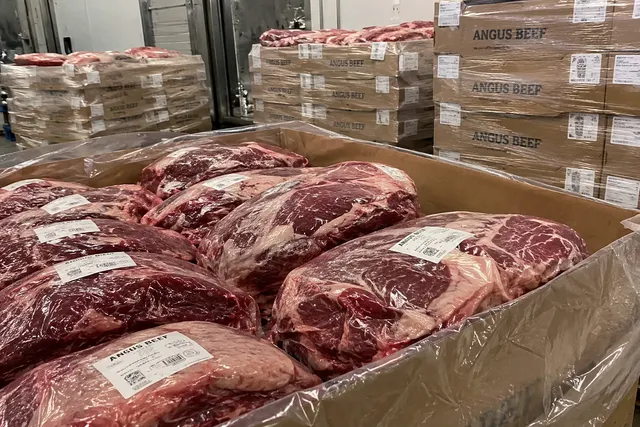 Angus Beef Suppliers, Bulk Agus Beef Wholesale Distributors, Wholesalers of Agus beef - Image 4