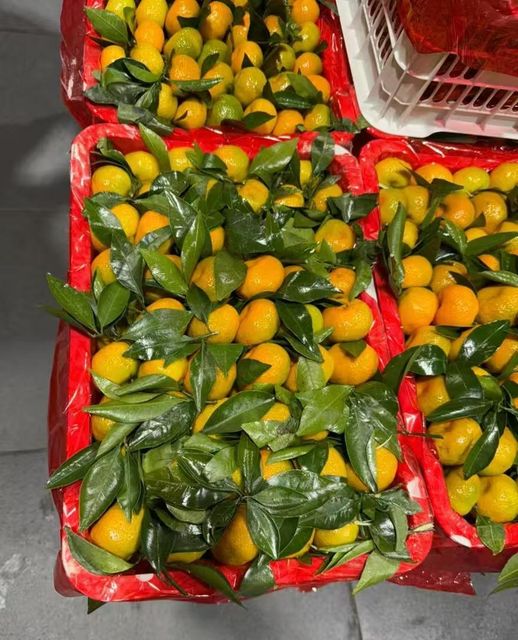 Fresh mandarin - Image 1