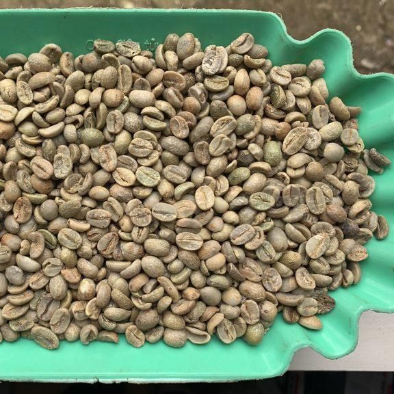 Top Quality Premium Grade Green Coffee Bean Factory Supplier Best Price 100% Natural Pure Green Coffee Bean WHATSAPP +255762500052 - Image 2