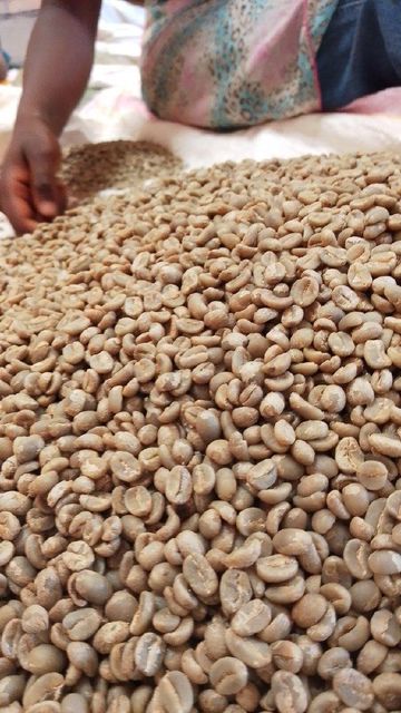 Fullwashed, specialty coffee (NATURAL, Anaerobic and Honey) - Image 3