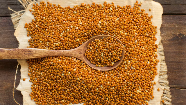 Best Quality Non-GMO Glutinous Red Dried Floured Rice Millet for Animal Feed in Simple Bag Packaging - Image 5