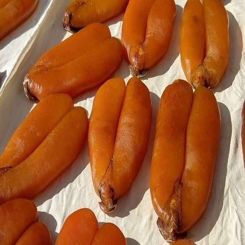 Mullet Roe for sell Grade Premium Origin Germany Shelf Life 6 MONTHS Brand Name MULLET ROE Packaging Reliable Export Packaging - Image 1