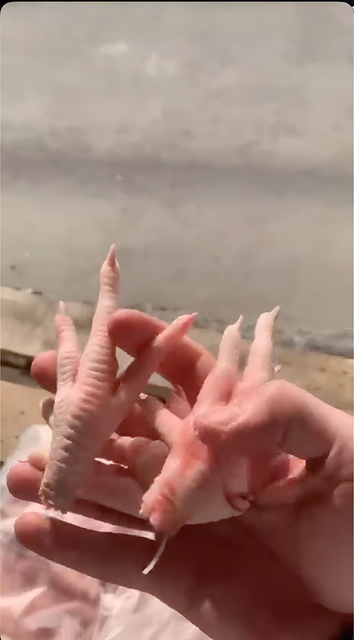 Frozen Chicken Feet Cut Other Freshness Level Frozen Degree of Processing Unprocessed Features No Artificial Flavors, No Preservatives, Without Colourants - Image 1