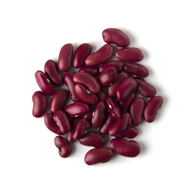 Dark Red Kidney Beans Long Shape Kidney Beans Wholesale - Image 3