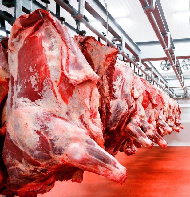 FRESH BULL MEAT Beef - Image 1