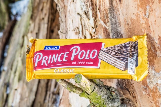 Delicious Prince Polo Chocolate Crispy Cocoa Wafer Bar Excellent Quality Wholesale Price Fresh Premium Snack - Image 2