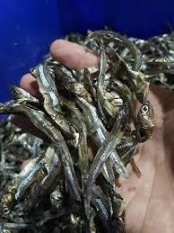 Dried Anchovy Fish Shelf Life 2 YEARS Place of Origin THAILAND Dried Anchovy Fish Delivery Time 15-30 Days Dried Anchovy - Image 3