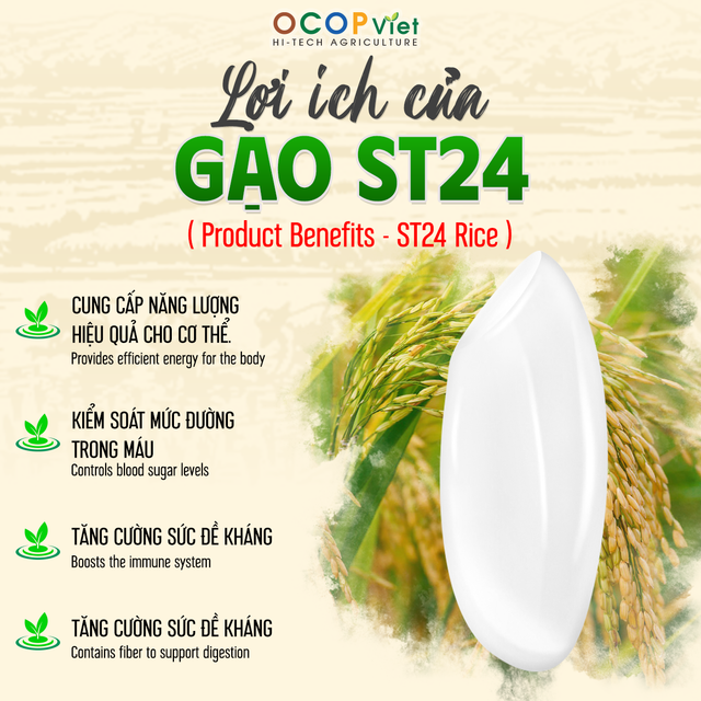 ST24 Rice - Image 2